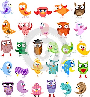 Set of cartoon birds, vector