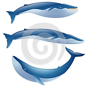 Set of cartoon blue whales