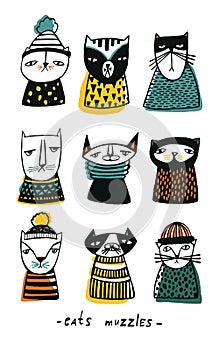 Set with cartoon cats muzzles. Hand drawn doodle kitty collection on white background. Colorful vector illustration. photo