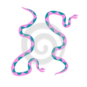 Set of cartoon colored wavy snakes in flat style isolated on white. photo