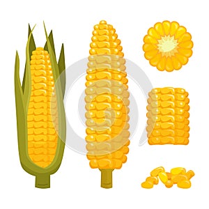 Set of cartoon corn in leaves and peeled