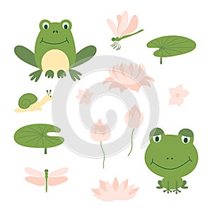 Set of cartoon cute green frog. Funny different frogs with snails, aquatic plants, lily leaf and dragonfly