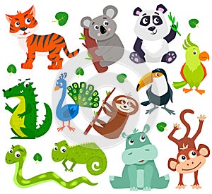 Set of cartoon cute jungle animals