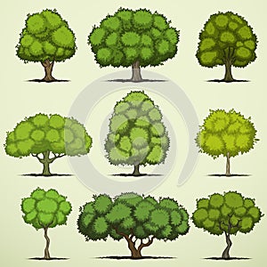 Set of cartoon deciduous trees