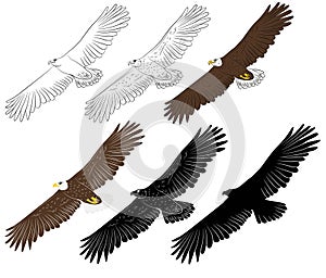 Set of Cartoon flying wild eagle in isolate on a white background.