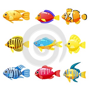 Set cartoon Funny fish vector characters. Colorful coral reef tropical fish set vector illustration. Sea fish collection