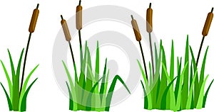 A set of cartoon grass, reeds and canes