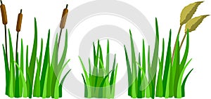 A set of cartoon grass, reeds and canes