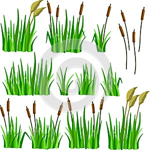 A set of cartoon grass, reeds and canes