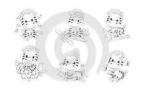 Set of Cartoon Isolated Zebra Coloring Page. Collection of Cute Vector Cartoon Horse Outline