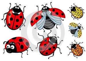 Set of cartoon red and ladybirds on a white background, Corel