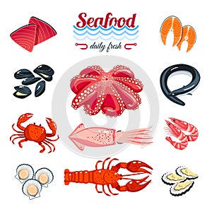 Set of cartoon sea food - tuna, salmon, clams, crab, lobster and so. Vector illustration, isolated on white, eps 10.