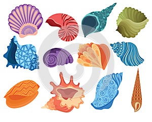Set of cartoon seashells. A collection of sea shells with pearls. Vector illustration of mollusks. Drawing for children. photo