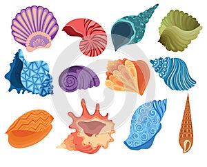 Set of cartoon seashells. A collection of sea shells with pearls. Vector illustration of mollusks. Drawing for children.