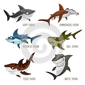 Set of cartoon sharks with different emotions isolated on white