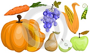 Set of cartoon vector images of autumn fruits and vegetables from 7 pieces