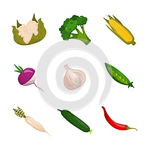 Set of cartoon vegetables