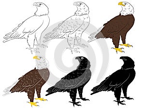 Set of Cartoon wild eagle in isolate on a white background