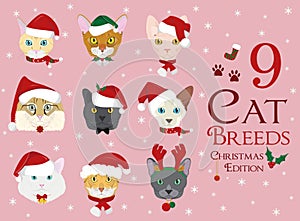 Set of 9 cat breeds with Christmas and winter themes photo