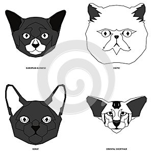 Set of cat breeds, illustration