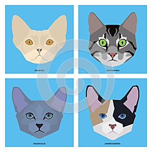 Set of cat breeds, illustration