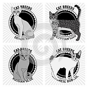 Set of cat breeds, illustration