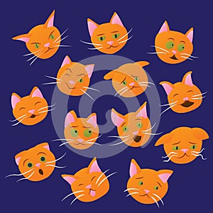 Set of cat emotions photo