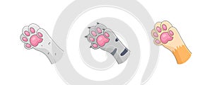 Set of cat's paws. Colourful icons kitten foots. Vector illustration in cartoon style