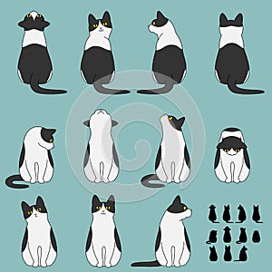 Set of cat sitting poses