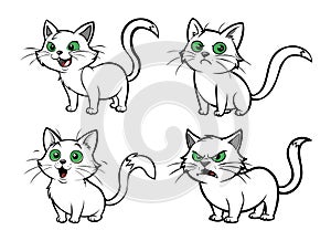 set cats in different characters and emotions