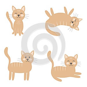 Set of cats in different poses vector illustration.