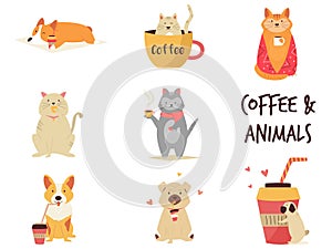 Set of cats and dogs enjoying coffee