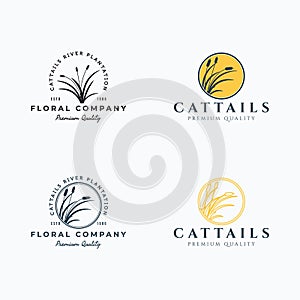 Set of cattails logo vector illustration design
