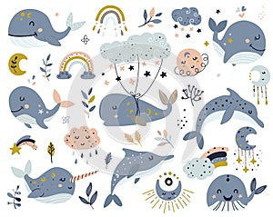 Set of celestial whales, dolphins and narwhal