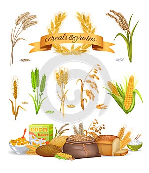 Set of Cereals and Grains on White Background