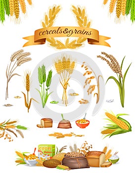 Set of Cereals and Grains on White Background