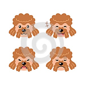 Set of character brown poodle dog faces showing different emotions