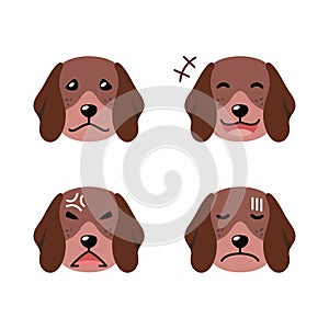 Set of character german shorthaired pointer dog faces showing different emotions