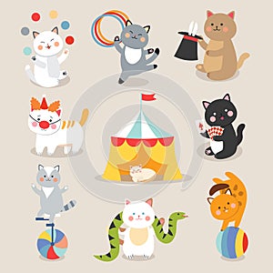 Set of cheerful circus playing cats vector illustration.