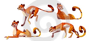 Set of cheetah character in different poses