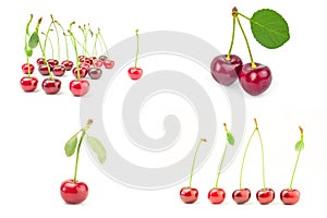 Set of Cherry close-up on white