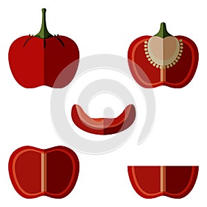 Set of Cherry Pepper. Flat style. Vector.