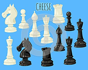 Set of chess pieces. Vector set of isolated objects on a background.