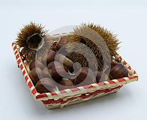 A set of chestnuts and curls