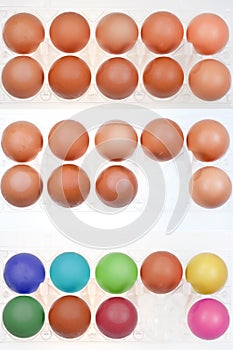 Set of chicken eggs in holders