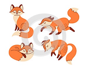 Set of children\'s illustrations with red fox. Fluffy wild animals in Flat style, doodle, cartoon.