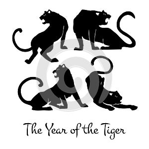 Set of Chinese zodiac characters. The year of the Tiger. Stylized animal silhouettes in different poses. Hand drawn vector