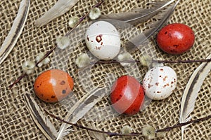Set of chocolate candies in the form of quail eggs