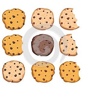 Set of chocolate chip cookies. vector