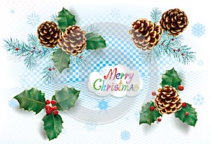 Set of Christmas decoration. Pine cone, holly ilex